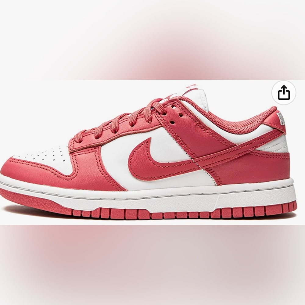 Archaeo Pink Nike Dunks